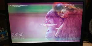 ジャンク品のR734…