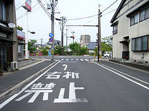 公道を我が物顔で走る…