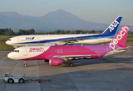 ピーチ機を臨時着陸さ…