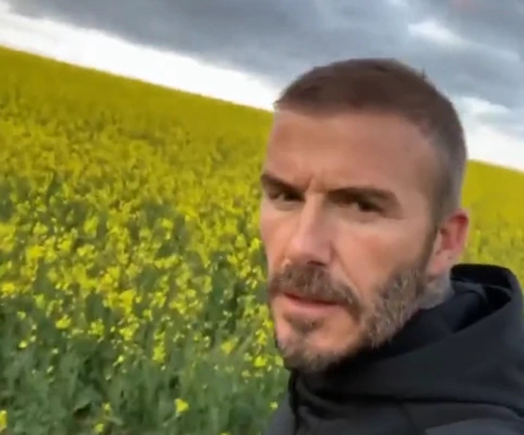 あのデビッド・ベッカ…