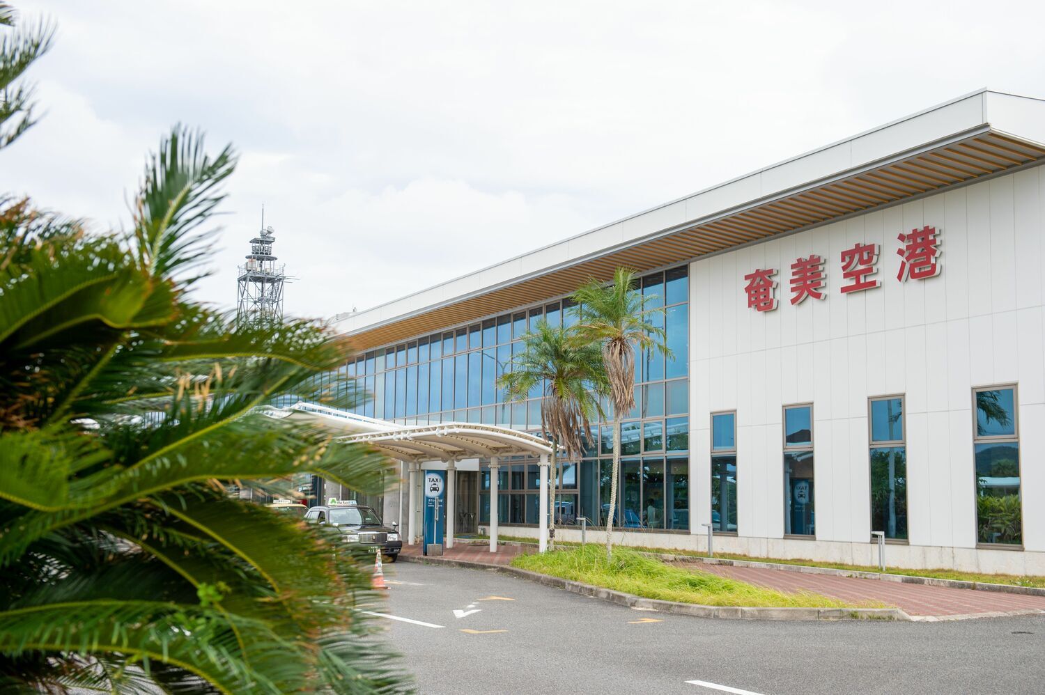 TBS「アイアム冒険…