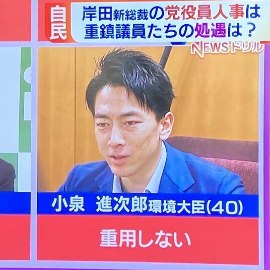 レジ袋有料化廃止へ向…