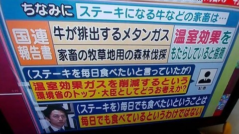 小泉進次郎環境相の迷…