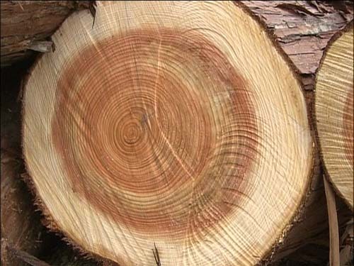 痴漢による冤罪から解…