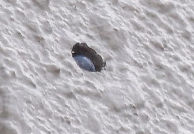 安倍晋三元首相への銃…