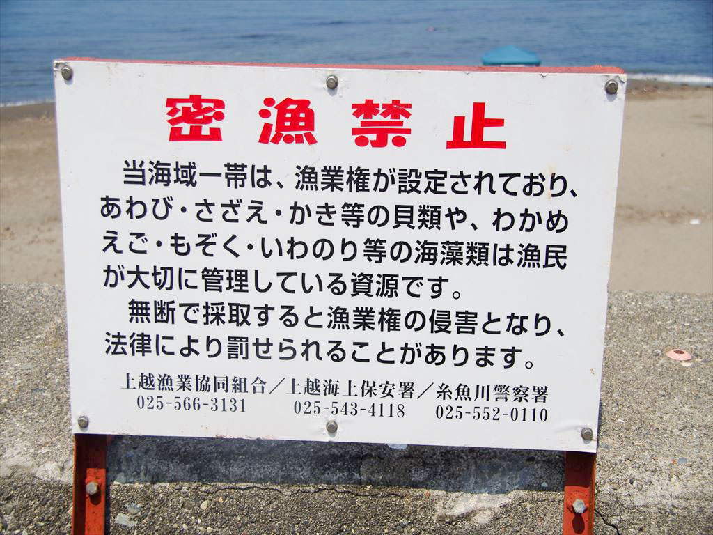 日刊・ローカルニュー…