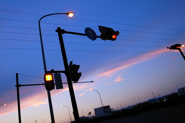 公道を我が物顔で走る…