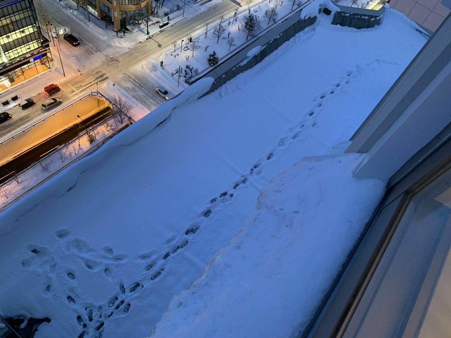神田沙也加さんが転落…