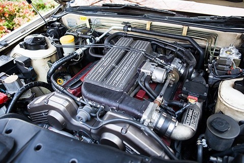 女優・伊藤かずえの所…