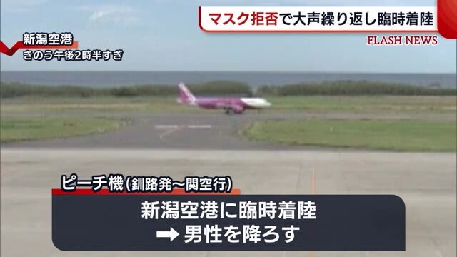 ピーチ機を臨時着陸さ…