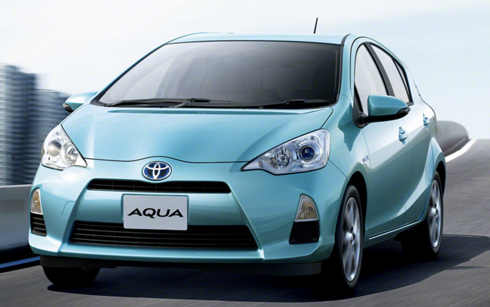 公道を我が物顔で走る…