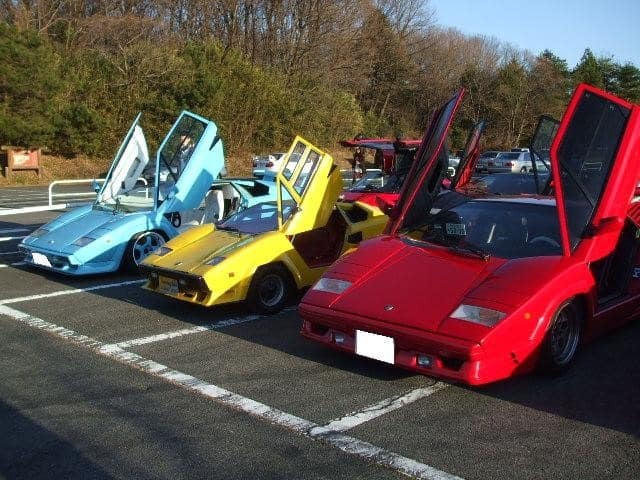 サンバルギーニ・コカ…
