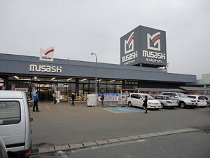 公道を我が物顔で走る…